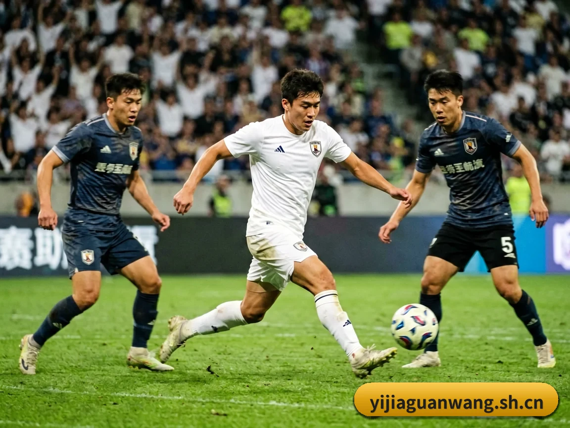 五大服务分区,信息按项目分类